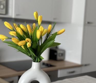 Ujlipotvaros Apartment | IP TWENTY RESIDENCE