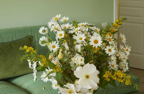 Doudeville House | Irene's House