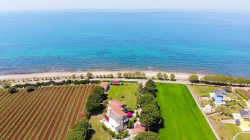 Trifylia Apartment | Irida Beach Resort Suites