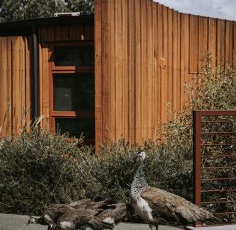 Sorell Hotel | Iron Creek Bay Estate
