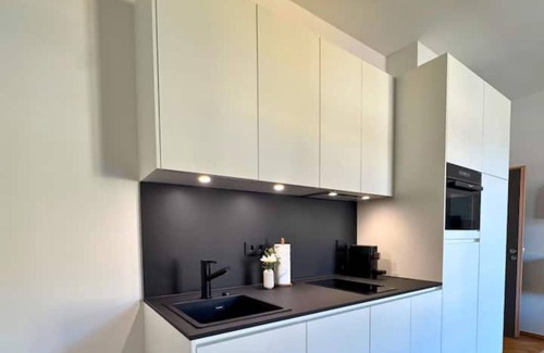 Waldshut-Tiengen Apartment | Isaak Apartment Löwenbau E2-W07