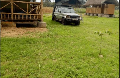 Ishasha Other | Ishasha Pride Lodge
