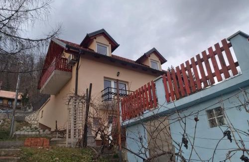 Krsko House | Issy View House