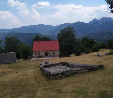 Savnik House | Ivica