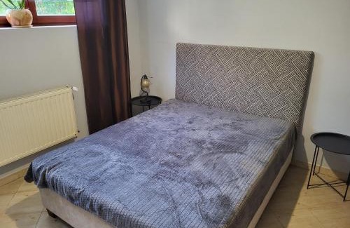 Pszczyna Apartment | ivlo