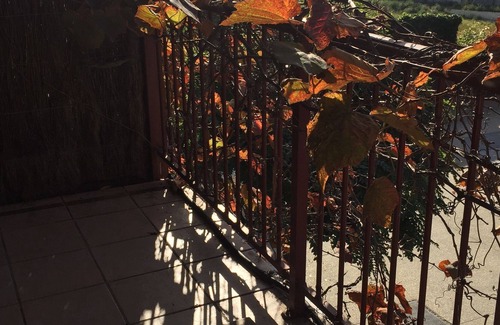 Queenscliff Apartment | Ivy Apartment Queenscliff
