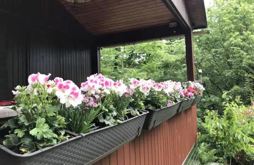 Eltville am Rhein Apartment | Jägerhaus im Naturpark, Eltville am Rhein