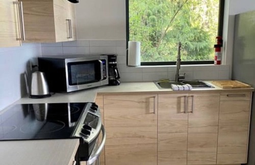 Bowen Island Apartment | J&J's · Exquisite and brand new 1-bedroom ocean view suite