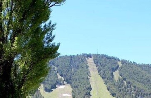 Jackson Cottage | Jackson Hole Enchanted Cottage Longer stays only, 30 day min.