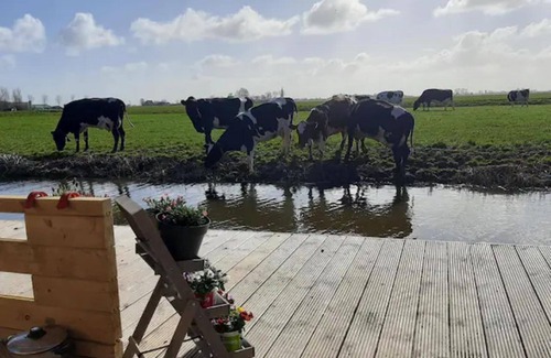 Municipality of Waadhoeke Cottage | Jacuzzi, Cows, Dairyfarm, Relaxing, Sleeping