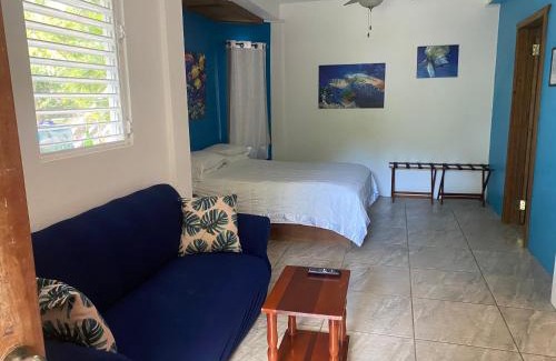 Caye Caulker House | JAGUAR MORNING STAR
