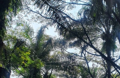 Gunung Putri House | Jakarta green suburban area