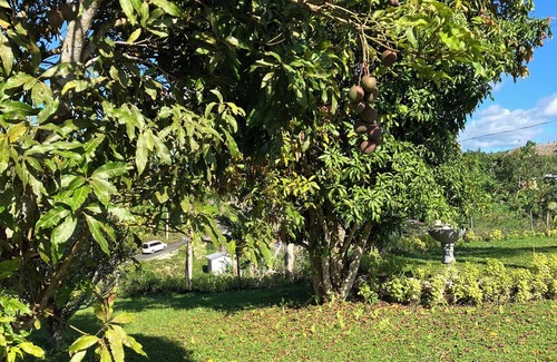 Darliston Cottage | Jamaica vacation on Southcoast surrounded by Mountains and nature