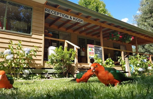 Jamieson Other | Jamieson Caravan Park
