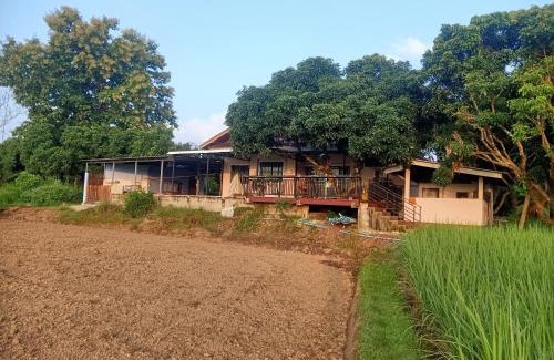 Phayao Cabin | Janchai Homestay