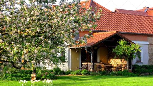 Neu Lubbenau Apartment | JANISCHs Fewo im Spreewald, Terrasse, großer Garten und Blick inklusive