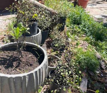 Piriapolis House | Jardín de Niza en Piriápolis - Pedimos 30 porciento anticipado