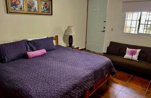 Boquete Bed & Breakfast | Jardín del Edén