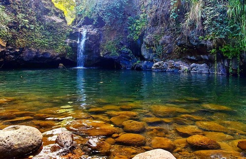 Papaaloa Cottage | Jasmine Cottage Farmstay - Sunrise & Ocean Views & local Waterfall Hikes!