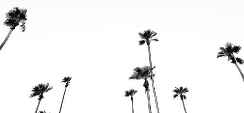 Uptown Design District Hotel | Jazz Hotel Palm Springs