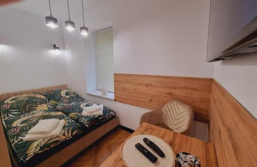 Jedlina-Zdroj Apartment | JEDLINA Park