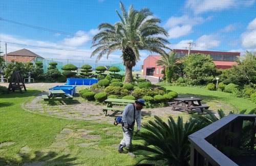 Hallim House | Jeju again olle pension