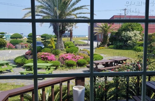 Hallim House | Jeju again olle pension