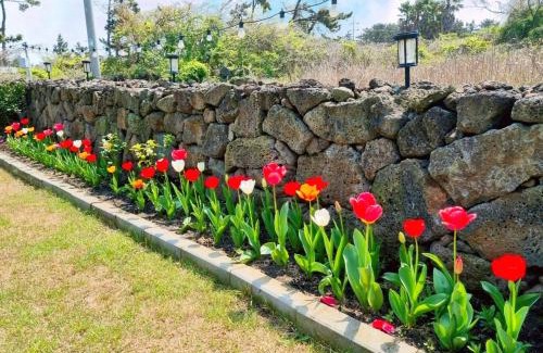 Hallim House | Jeju Sunshine Pension