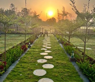 Tala House | Jewel of Jungle