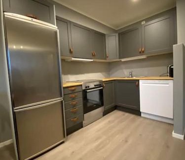 Randsverk Apartment | Jotunheimen/Besseggen/7ppl/View/Amazing hikes