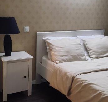 Bistrita Apartment | JP