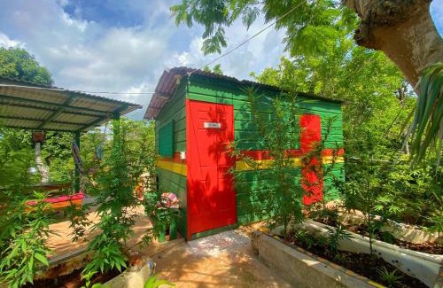 West End Hostel | Judy House Cottages And Rooms