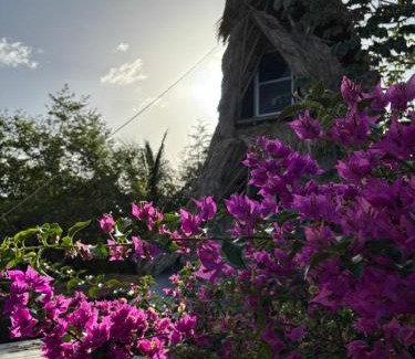 Bacalar Apartment | Jungla Bacalar