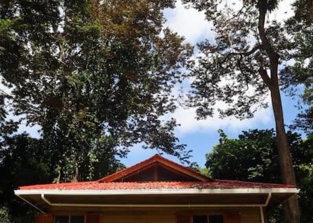 Bocas del Toro Ski Chalet | Jungle beach 2 bedroom cottage