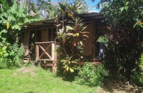 Isla Bastimentos Apartment | Jungle Cabin, with ocean views, monkeys and sloths 5 min walk to amenities