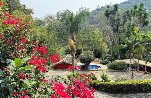 Nogueira House | Jungle Fever: Charming House in Itaipava.