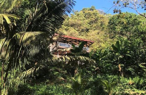 Cedros Villa | Jungle Villa copa de árbol, oceanview, infinity