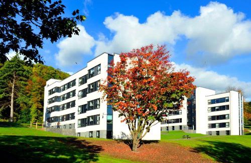 Bridge of Allan Other | Juniper Court