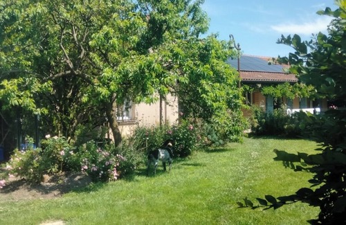 Riom Apartment | Just 20 minutes from Les Puys and Le Zénith! 5 min from Riom Close to motorways.