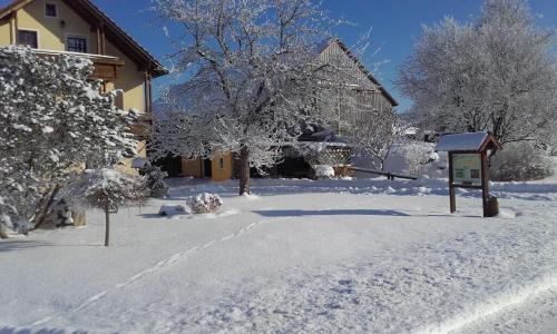 Pullenreuth Apartment | Kösseineblick