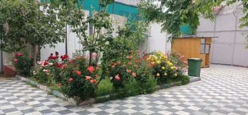 Kabul House | Kabul Royal Guest House
