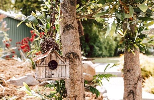 Bicheno House | KAL's House - The place to be!