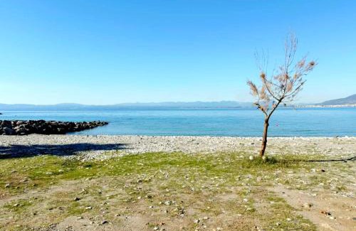 Mikri Mantineia Apartment | Kamari Apartments seafront