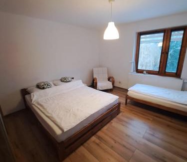 Miedzyborz House | Kamień