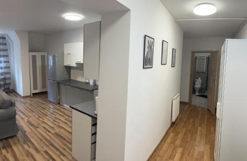 Chorzow Apartment | Kamienica5