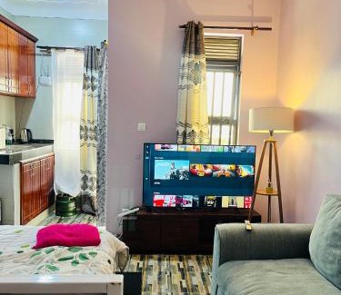 Kampala Apartment | Kampala Skyline Bedsit