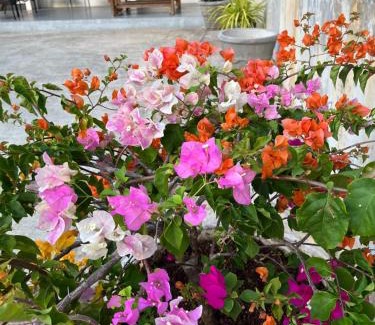 Mahe Island Apartment | Kanasuk Self catering Apartments