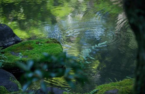 Central Kyoto Villa | KANETSUNE-Temple Lodging In Cultural Property