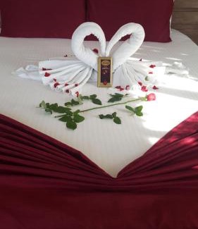Gokcedere Hotel | Kapri Termal Hotel & Kaplica Yalova