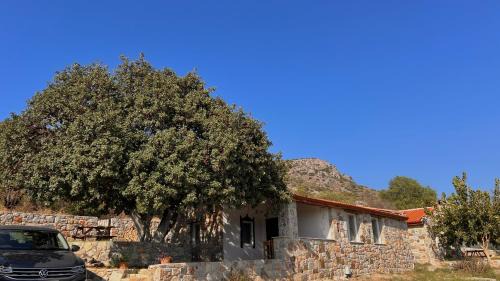 Datca House | Karaincirevleri Müstakil Taş Ev